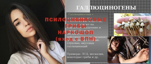 шишки Балабаново