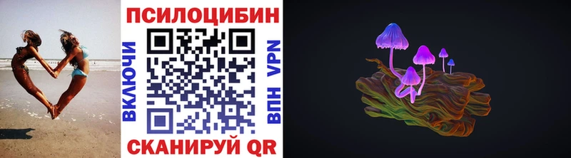 наркотики  Раменское  Псилоцибиновые грибы GOLDEN TEACHER 